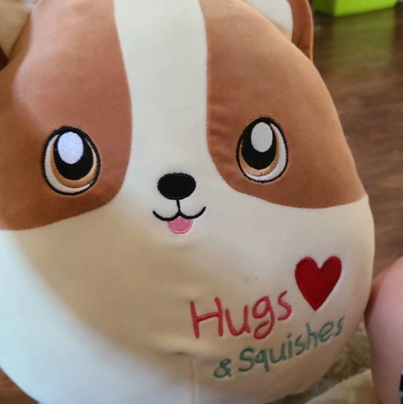 Corji Squishmallow - Picture 1 of 1